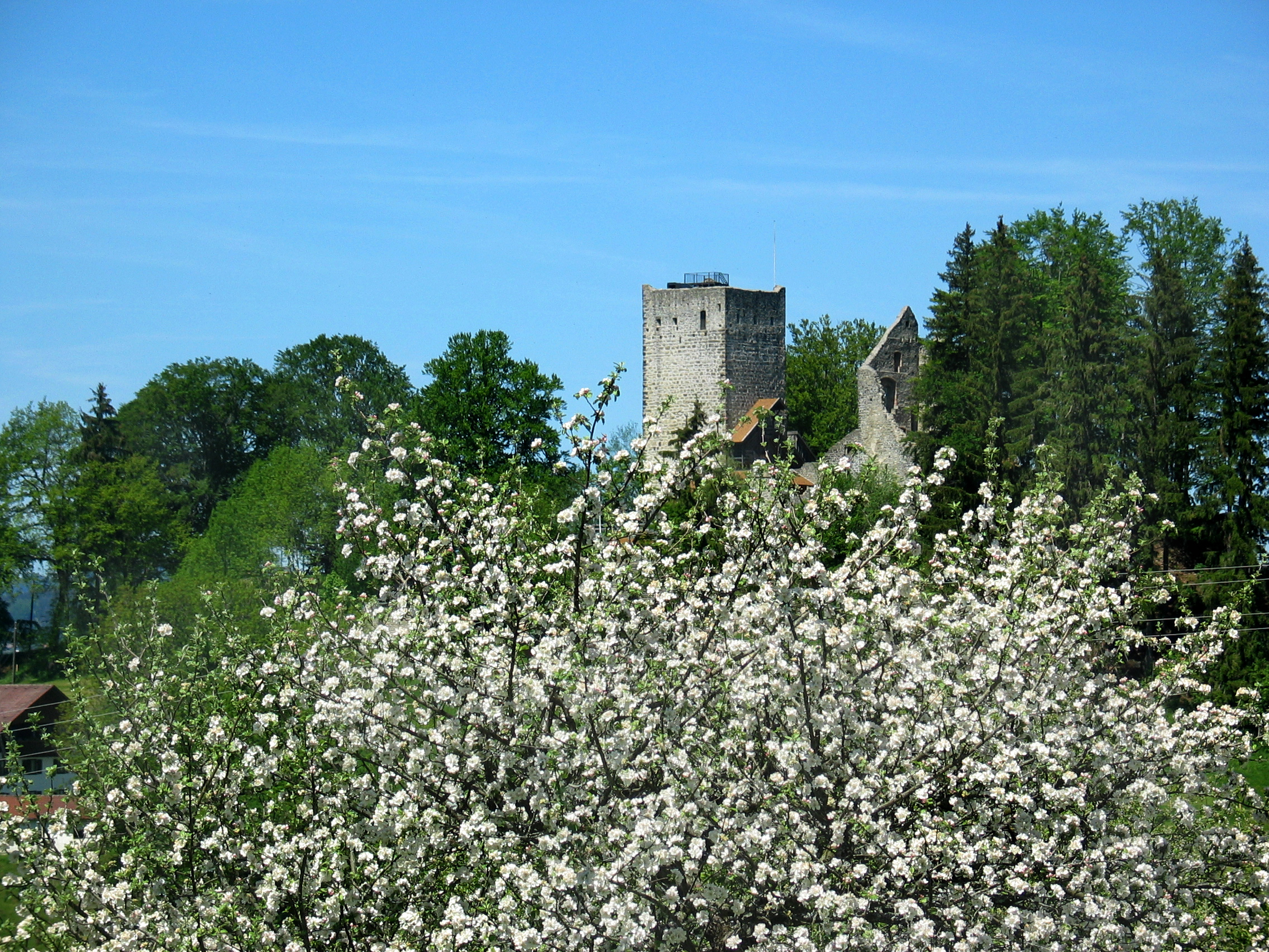Panoramaansicht der Burgruine Sulzberg