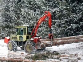 Holzernte bei winterlichen Wetterverh�ltnissen